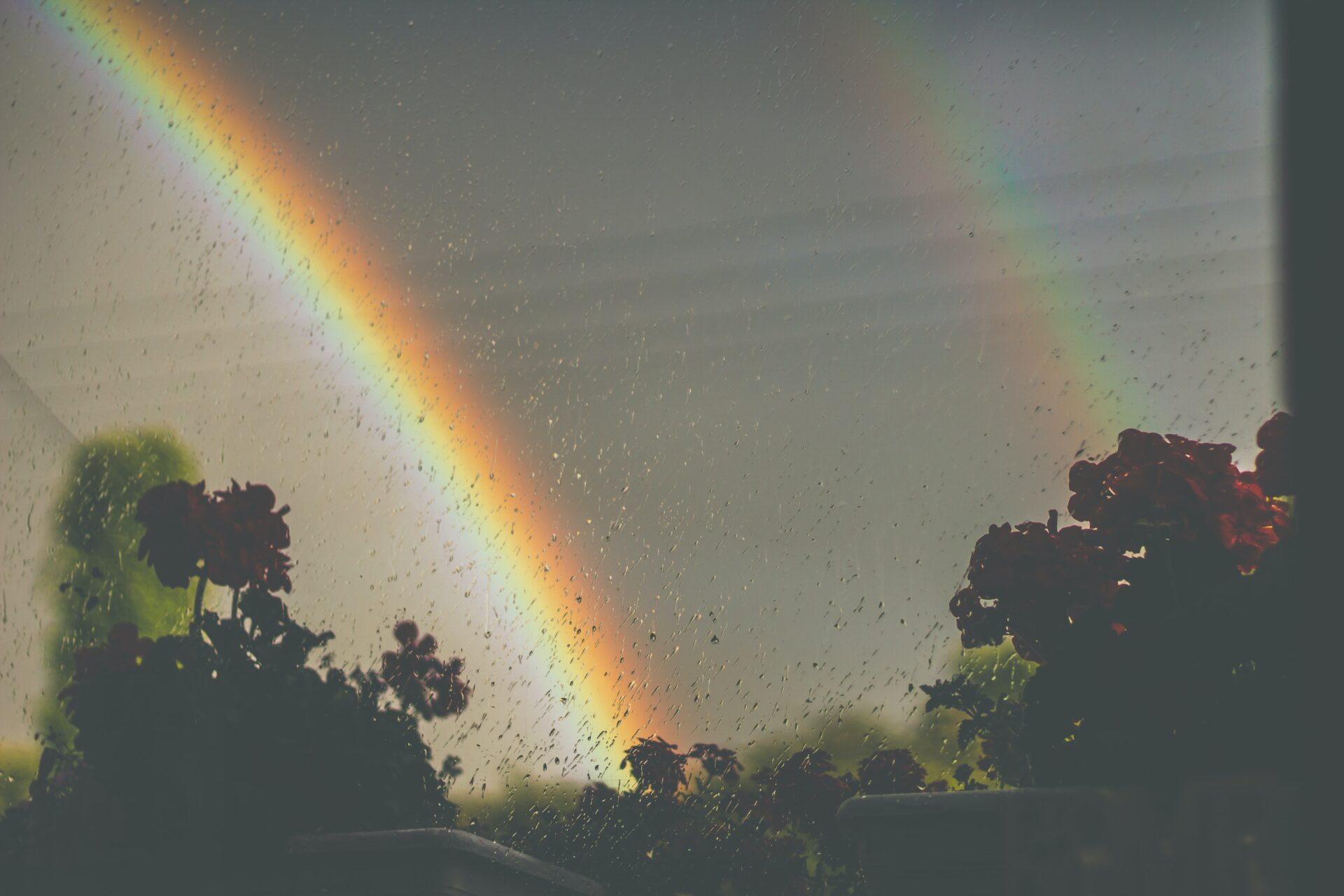 願望実現の予兆の虹の写真